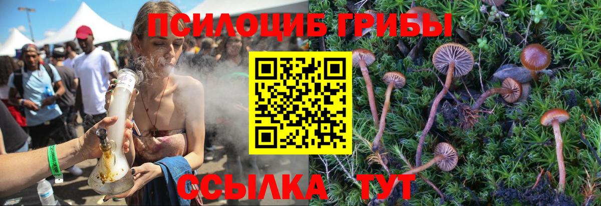 Псилоцибиновые грибы GOLDEN TEACHER Балахна
