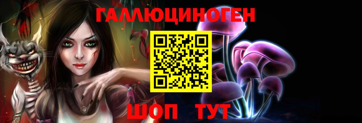 Балахна  Галлюциногенные грибы Cubensis  Вход с VPN 